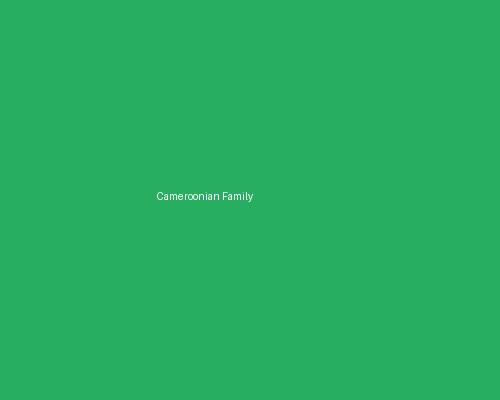 Cameroonian Patient Family